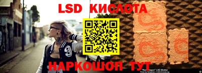 СК Кандалакша