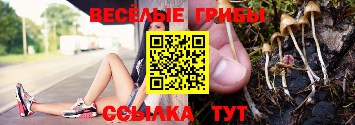 Галлюциногенные грибы MAGIC MUSHROOMS  Вход с VPN  Ипатово 